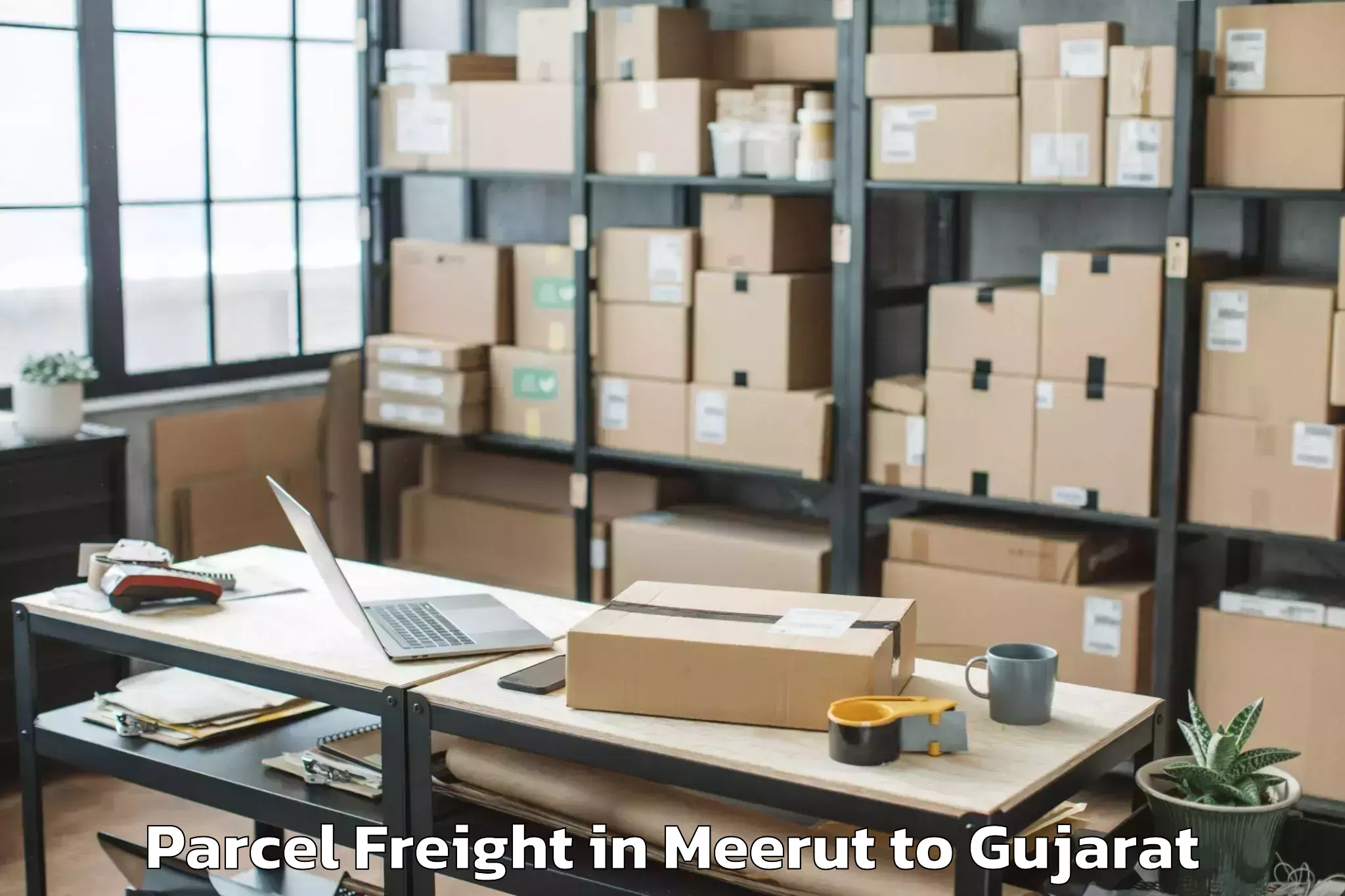 Trusted Meerut to Gandevi Parcel Freight